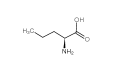 H-DL-Nva-OH CAS號(hào)：760-78-1