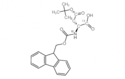 Fmoc-Asp(OtBu)-OH CAS號(hào)：1217468-27-3