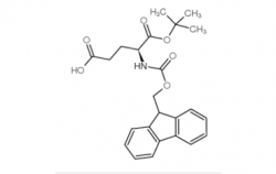 Fmoc-Glu-OtBu CAS號(hào)：84793-07-7