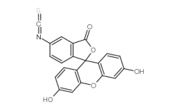 5-FITC CAS號(hào)：3326-32-7