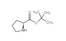 H-Pro-OtBu CAS號(hào)：2812-46-6