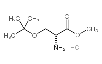 H-D-Ser-OMe·HCl CAS號(hào)： 78537-14-1