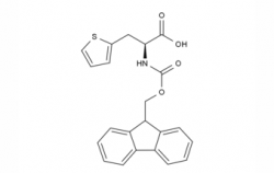 3-L-Ala(2-thienyl)-OH  CAS No.: 22951-96-8