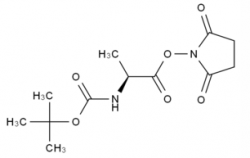 Boc-Ala-OSu CAS No.: 3392-05-0