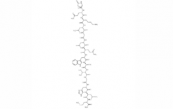 澳門(Lys3)-Bombesin