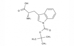 H-Trp(Boc)-OH