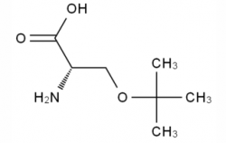 H-Ser(tBu)-OH