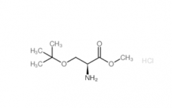 H-Ser(tBu)-OMe·HCl  CAS No.: 17114-97-5