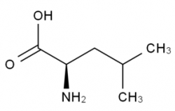 H-D-Leu-OH  CAS號：328-38-1