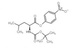 Boc-Leu-ONp CAS號(hào)：3350-19-4