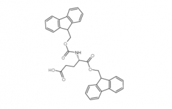 Fmoc-Glu-OFM CAS號(hào)：200616-18-8