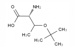 H-Thr(tBu)-OH  CAS No.: 4378-13-6