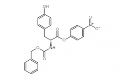 Z-Tyr-ONp  CAS No.: 3556-56-7