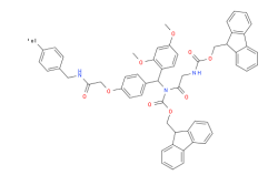 Fmoc-Gly-Rink Amide AM Resin