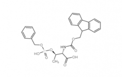 Fmoc-Thr(HPO3Bzl)-OH CAS號：175291-56-2