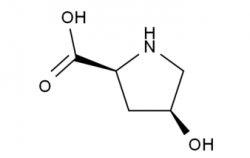 H-Hyp-OH CAS No.: 51-35-4