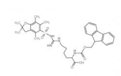 Fmoc-HomoArg(Pbf)-OH  CAS號：401915-53-5