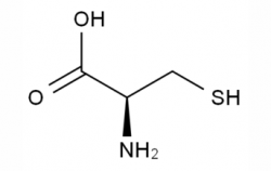 H-Cys-OH CAS No.: 52-90-4