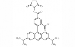 5-Carboxy-tetramethylrhodamine