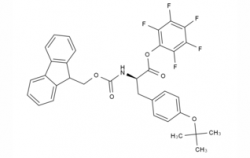 Fmoc-Tyr(tBu)-OPfp