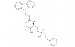 Fmoc-Ser(HPO3Bzl)-OH  CAS號：158171-14-3