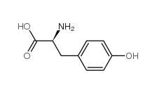 H-Tyr-OH CAS號(hào)  60-18-4